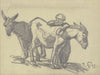 Boy with two donkeys