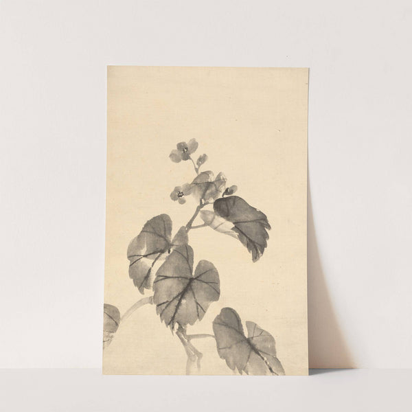 Branch of Begonia in Bloom (c. 1880–95) by Kōno Bairei
