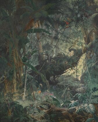 Brasilianischer Urwald