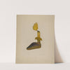 Brass Betty Lamp by Oscar Bluhme