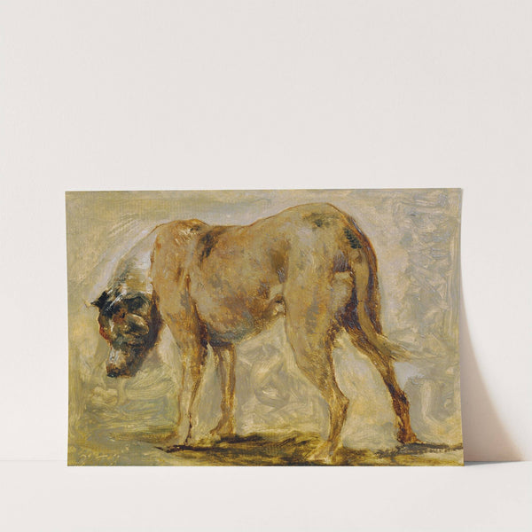 Braune Dogge by Johann Till the younger