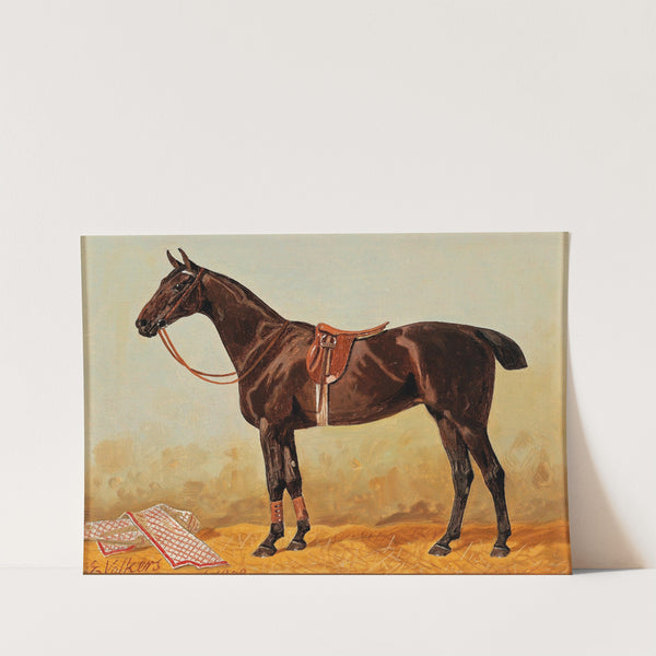 Brauner im Stall mit Satteldecke (1903) by Emil Volkers