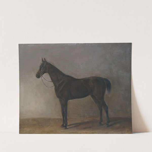 Brauner Wallach (1834) by Albrecht Adam