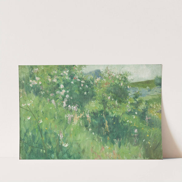 Briar-Rose Bushes Flowering on the Isle of Tjörn by Karl Nordström