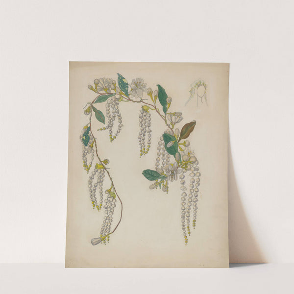 Bridal Wreath by Verna Tallman