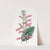 Brillant Gesneria (1815-1819) by Sydenham Edwards