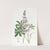 Broad-leaved lupine by Sydenham Edwards