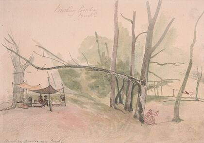 Brockley Coombe, near Bristol