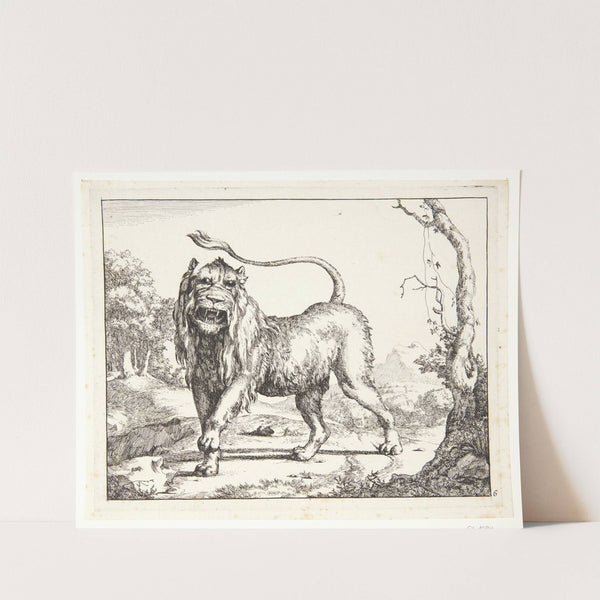 Brølende løve by Marcus de Bye