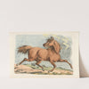 Brown horse running (1817-1818) by Henry Thomas Alken