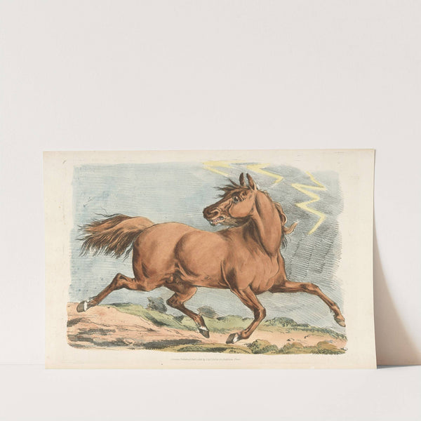Brown horse running (1817-1818) by Henry Thomas Alken
