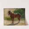 Brown Horse, Study (1860) by Ernest Meissonier