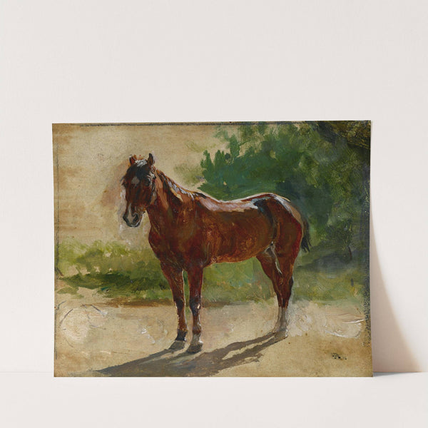 Brown Horse, Study (1860) by Ernest Meissonier