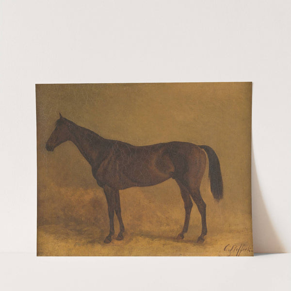 Brown race horse by Carl Steffeck