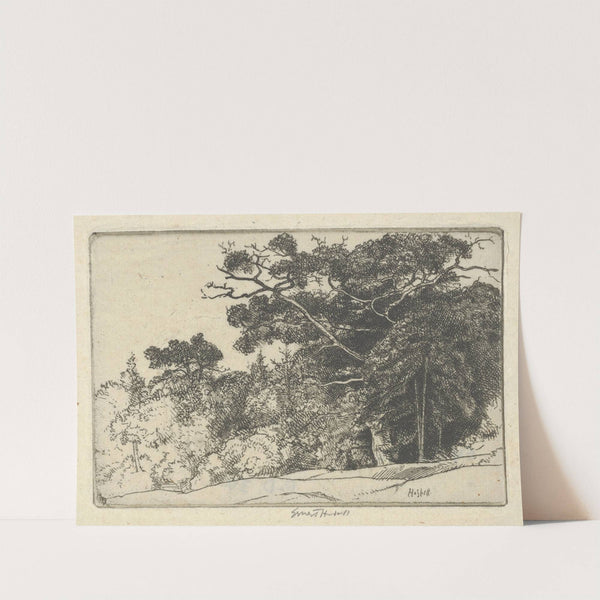 Brown’s Oak (probably 1910) by Ernest Haskell