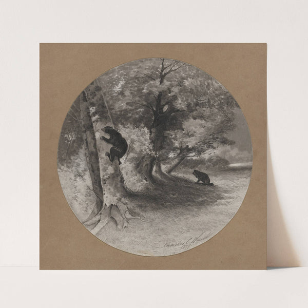 Bruin Beech nutting (1879) by Charles Caleb Ward