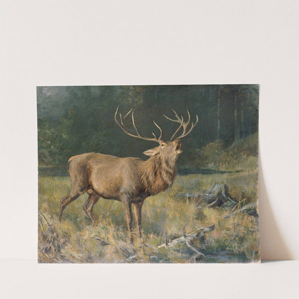 Brunfthirsch by Franz Xaver von Pausinger