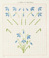 Brushwork Pl.10