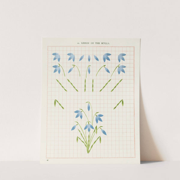 Brushwork Pl.10 (1903) by Marion Hudson