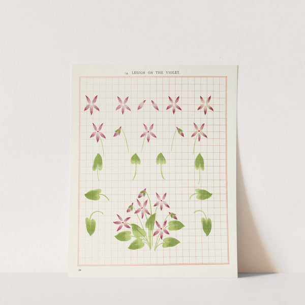 Brushwork Pl.14 (1903) by Marion Hudson