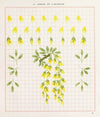 Brushwork Pl.16