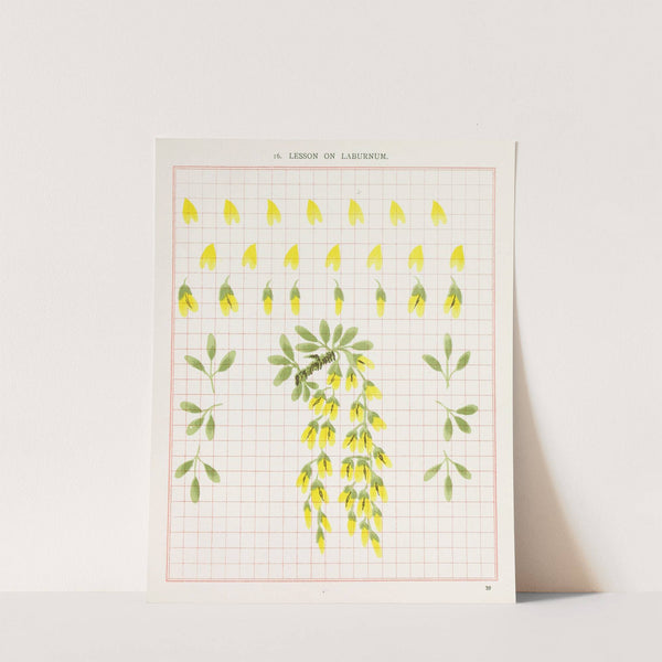 Brushwork Pl.16 by Marion Hudson