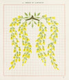 Brushwork Pl.17