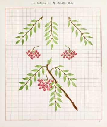 Brushwork Pl.22