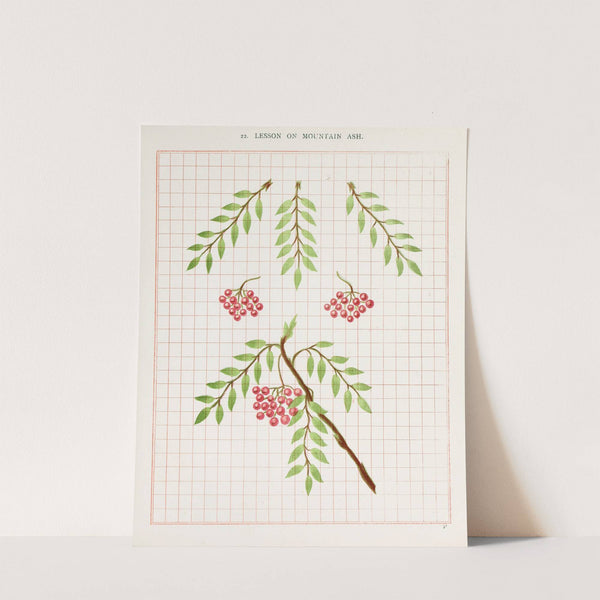 Brushwork Pl.22 by Marion Hudson