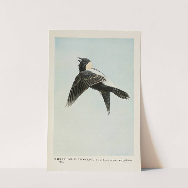 Bubbling Bob the Bobolink by Louis Agassiz Fuertes