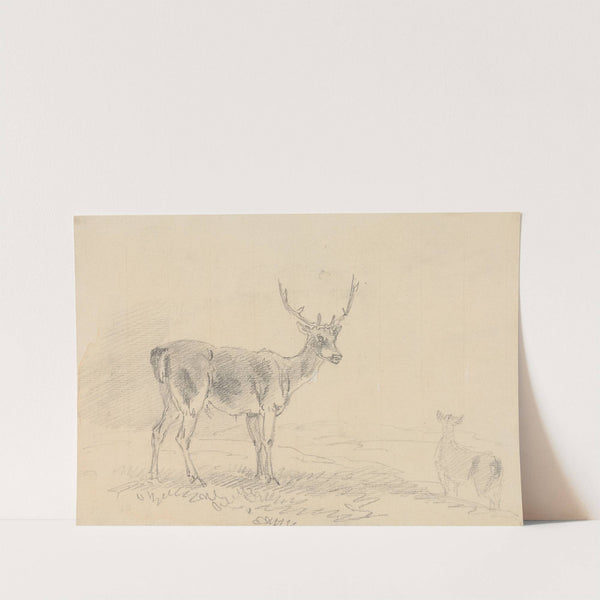 Buck and Doe by Sawrey Gilpin