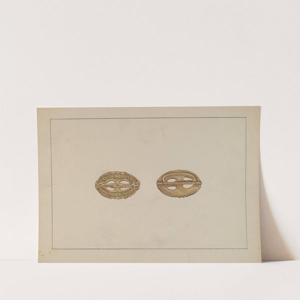 Buckle by Evelyn Bailey