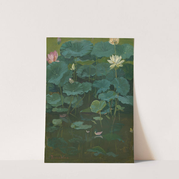 Buddha’s Flowers; Lotus, Tokyo (1894) by Theodore Wores