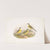 Budytes cinereocapilla. Grey-capped Wagtail. (1862-1873) by John Gould