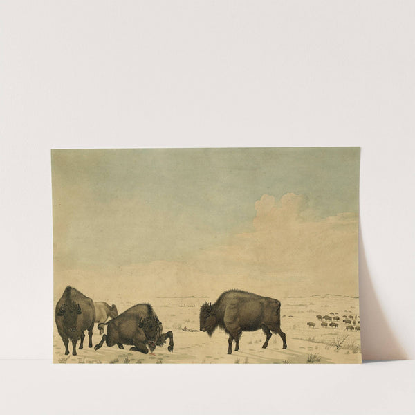 Buffalo Hunt by Peter Rindisbacher