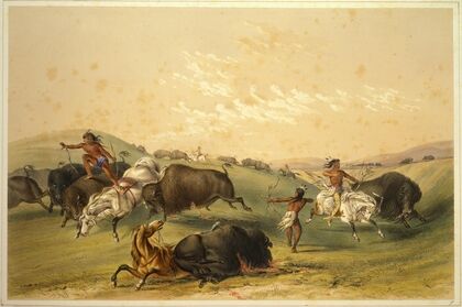 Buffalo Hunt; A Numerous Group