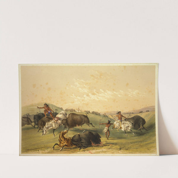 Buffalo Hunt; A Numerous Group by George Catlin