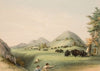 Buffalo Hunt, Approaching in a Ravine
