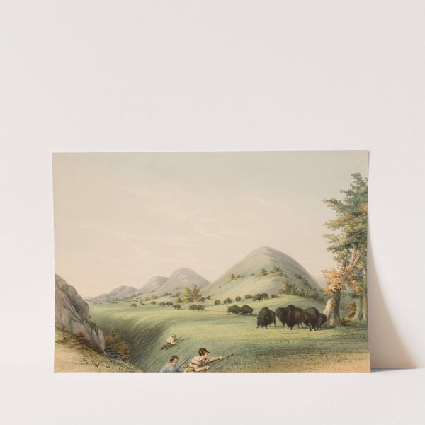 Buffalo Hunt, Approaching in a Ravine by George Catlin
