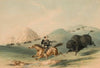 Buffalo Hunt, Chasing Back