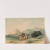 Buffalo Hunt, Chasing Back by George Catlin
