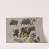 Buffalos and cattle by Johann Nepomuk Rauch