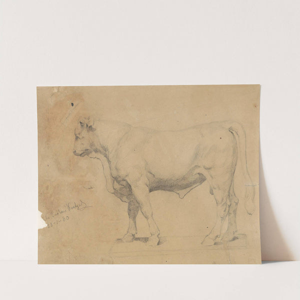 Bull by Gustav Wentzel