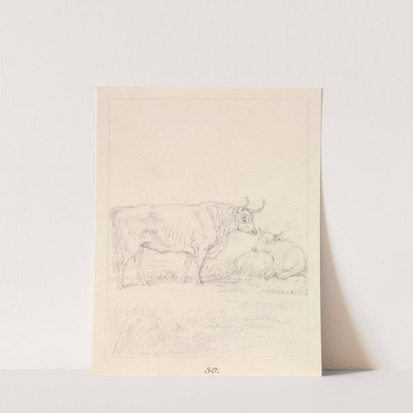 Bull and Cow by Samuel Howitt
