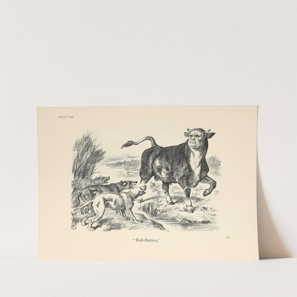 Bull-Baiting by Sir John Tenniel
