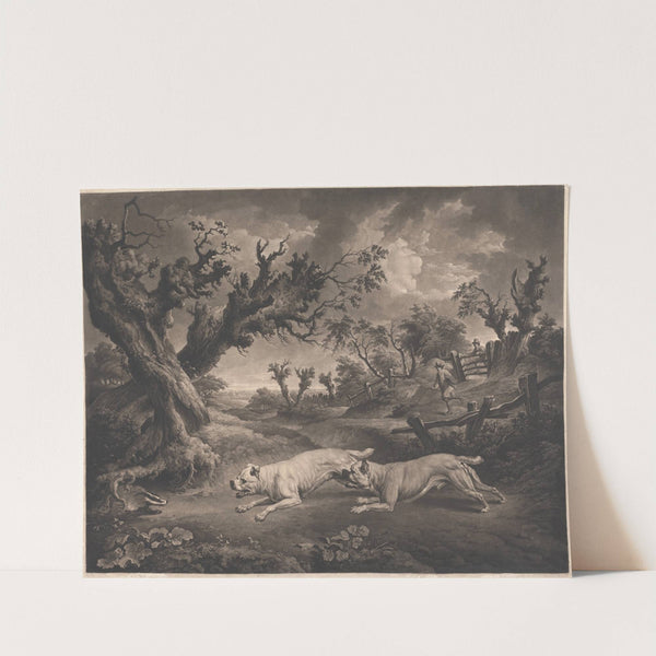 Bull Dogs and Badgers (1807) by Charles Towne