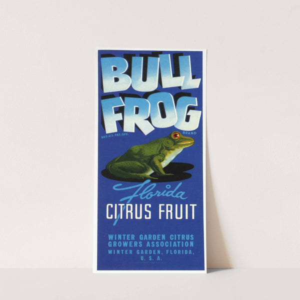 Bull Frog Brand Florida Citrus Fruit Label (1930-1950)