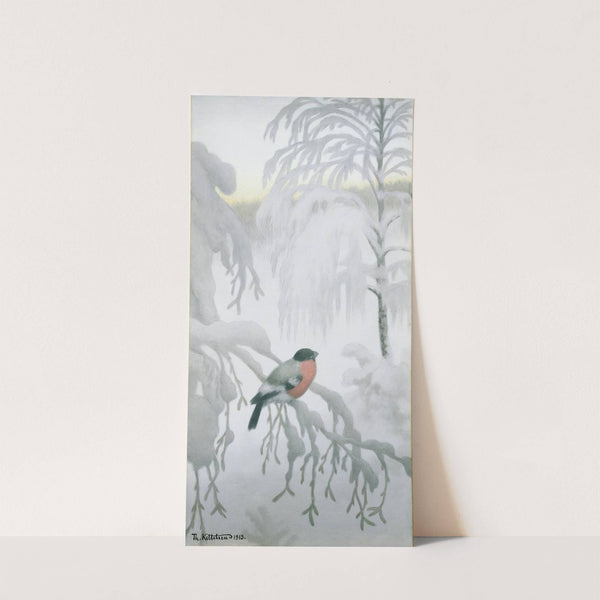 Bullfinch by Theodor Kittelsen