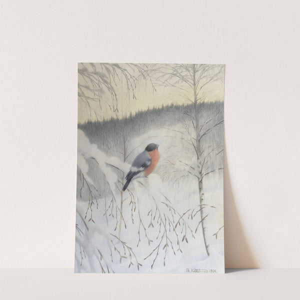 Bullfinch on frosty twig by Theodor Kittelsen