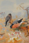 Bullfinches (1908)